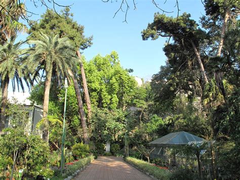 Orto Botanico Pietro Castelli – Università di Messina.